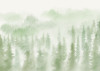 Blurry Woods - View 1