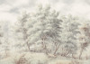 Grove - View 1