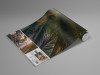 Vertical Paradise - View 1
