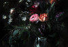 Still Life - View 1