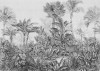 Léopards - View 1