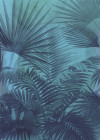 Transparency - View 1