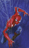 Marvel Spider-Man Spider Web - View 1