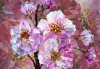 Blooming Gems - View 1
