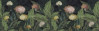 Flowerly - View 1