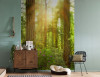 Redwood - View 1