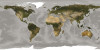 World - View 1