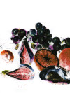 Vino Rosso - View 1