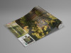 Goblins Woods - View 1