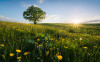 Frühling auf dem Land - View 1