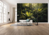Fjordland Woods  - View 1