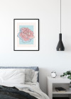 Cinderella Rose