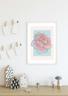 Cinderella Rose