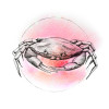 Crab Watercolor
