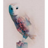 Animals Forest Owl