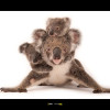 Koala 70 x 50 cm