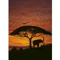 African Sunset
