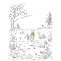 Winnie the Pooh Walk
