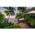 Hawaiian Dreams 