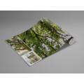 The Magic Tree - Thumbnail View 1