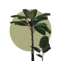 Jungle Ramble - Thumbnail View 1