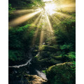 Divine - Thumbnail View 1