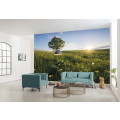Frühling auf dem Land - Thumbnail View 1
