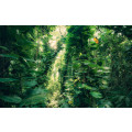 Green Leaves  - Thumbnail View 1