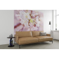 Pink Blossom - Thumbnail View 1