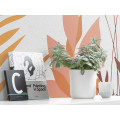 Aspiring Colours - Thumbnail View 1