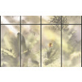 Casa Cabina - Thumbnail View 1
