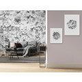 Sukkulenta - Thumbnail View 1