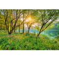 Spring Lake - Thumbnail View 1