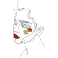 Feminine Lines - Thumbnail View 1
