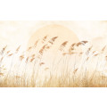 Dune Grass - Thumbnail View 1