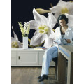 Madonna - Thumbnail View 1