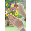 Springtime - Thumbnail View 1