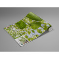 Im Frühlingswald - Thumbnail View 1