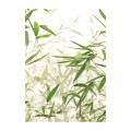 Art Gallery - Thumbnail View 1