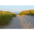 Sandy Path - Thumbnail View 1
