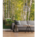 Birkenwald - Thumbnail View 1