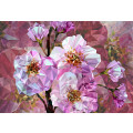 Blooming Gems - Thumbnail View 1
