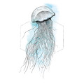 Aquarium - Thumbnail View 1