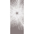 Federkern - Thumbnail View 1