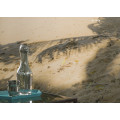 Strandoase Suedsee - Thumbnail View 1