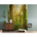 Redwood - Thumbnail View 1