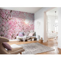 Cerise - Thumbnail View 1