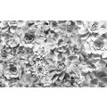 Sukkulenta - Thumbnail View 1