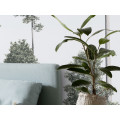 Pines - Thumbnail View 1