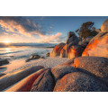 Bay of Fires - Thumbnail View 1